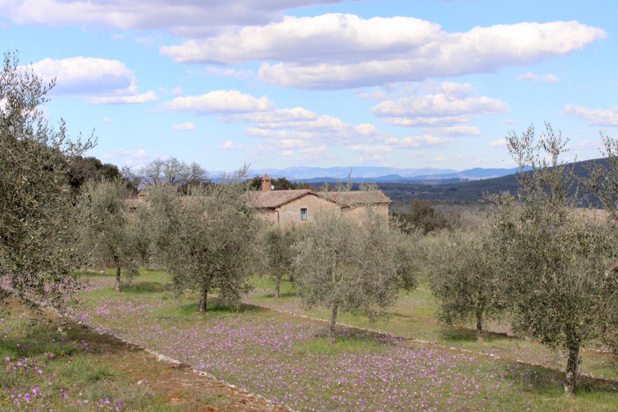 Agriturismo Il Caggio Sovicille Exterior photo