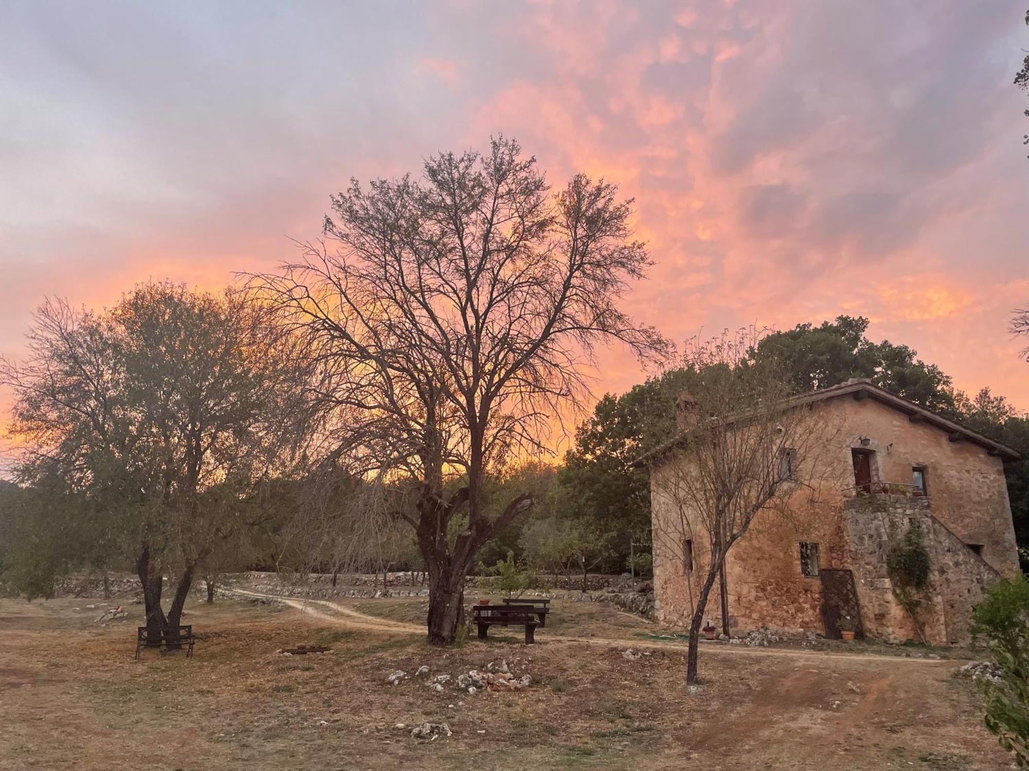 Agriturismo Il Caggio Sovicille Exterior photo