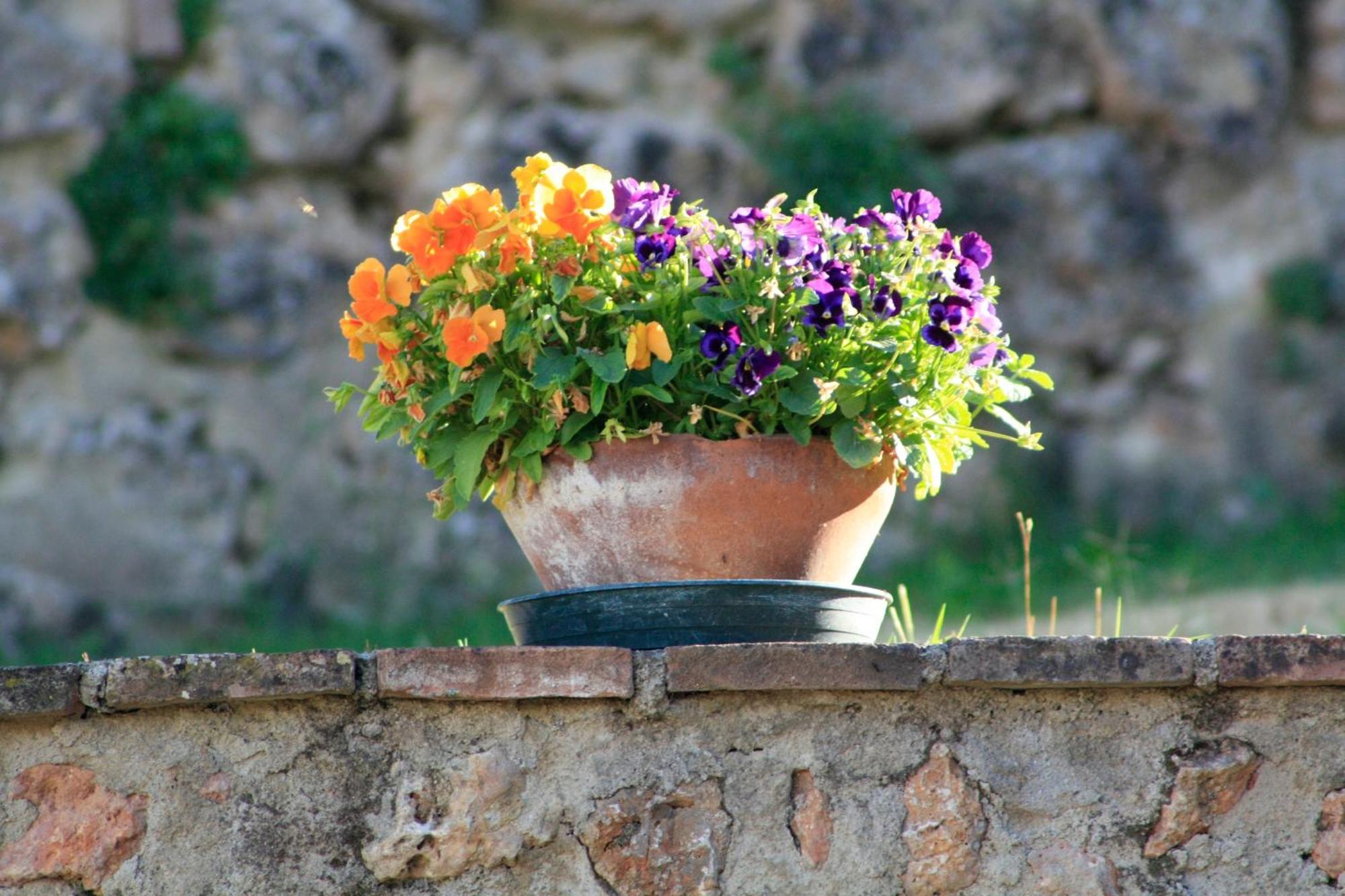 Agriturismo Il Caggio Sovicille Exterior photo